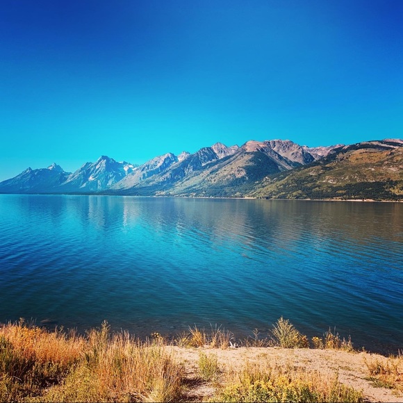 Meet your Posher, Sierra - Picture 1 of 1